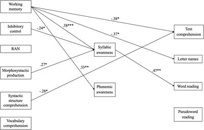 Longitudinal Relationships Between Reading Abilities, Phonological Awareness, Language Abilities and Executive Functions: Comparison of Low Risk Preterm and Full-Term Children